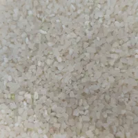 برنج کامفیروزی|خوردنی و آشامیدنی|شیراز, کوشک میدان|دیوار