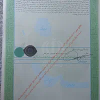 زمین مسکونی نخلستان ۵۱۲ متر|فروش زمین و ملک کلنگی|کهنوج, |دیوار