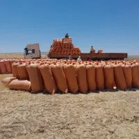 کاه دیم|لوازم جانبی حیوانات|تربت جام, کلالی|دیوار