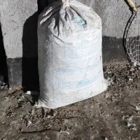 کود کبوتر