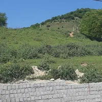 فروش زمین ۳۰۰متری واقع در سوادکوه