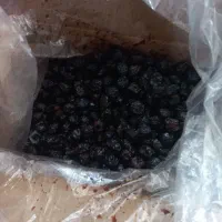 البالو خشک|خوردنی و آشامیدنی|شیراز, زند|دیوار