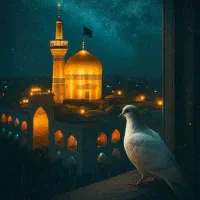 پیش ثبت نام تور ریلی مشهد ویژه آبان