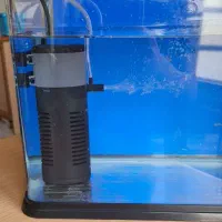 آکواریم و تصفیه و اکسیژن آب|ماهی|تهران, جیحون|دیوار