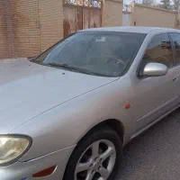 ماکسیما مدل81