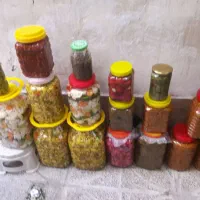 اتواع ترشی خانگی|خوردنی و آشامیدنی|تهران, شمشیری|دیوار