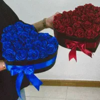 گل و باکس گل