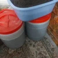 پلنت|ماهی|تهران, امیریه|دیوار