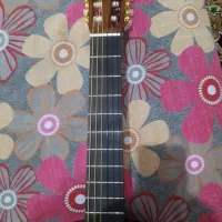 گیتار C70|گیتار، بیس، امپلیفایر|قم, شهر قائم|دیوار