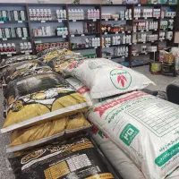 فروش ویژه چالکود زمستانه تا ۲۰ ٪ تخفیف|خدمات باغبانی و درختکاری|نجفآباد, جعفرآباد|دیوار