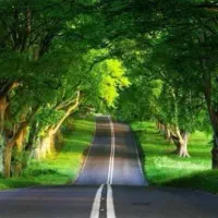 باغ ویلا کیلومتر ۲ جاده چالوس لب رودخانه