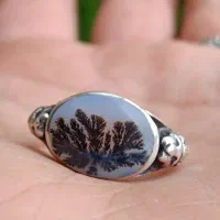 انگشتر شجر قائنات