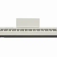 پیانو دیجیتال fp30 رولند