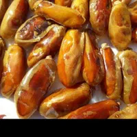 تامین و فروش خرما و کشمش عمده
