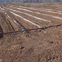 زمین بکربرای کاشت صیفی‌جات جات باقابلیت آب