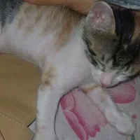 آرام و دوس داشتنی