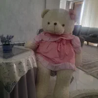 عروسک خرسی بزرگ