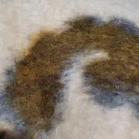 دو عدد پتو قدیمی|رختخواب، بالش، پتو|مشکین‌دشت, |دیوار