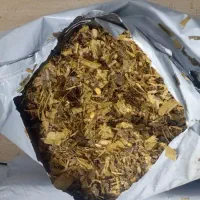 ذرت علوفه بسته بندی شده