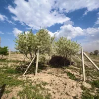 زمین-آماده-ساخت-ویلا-شرایطی