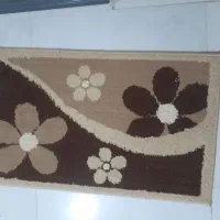 یک جفت پادری  سالم