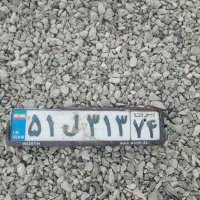 پلاک پیداشده