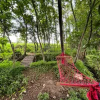 اجاره کلبه سوئیسی دو خواب با جکوزی در ماسال|اجارهٔ کوتاه‌مدت ویلا و باغ|رشت, گلسار|دیوار