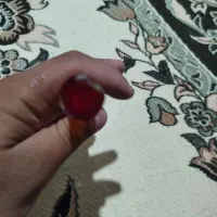 شمش تسبیح