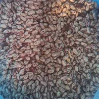 لوبیا چیتی، قرمز و عدس اردبیل