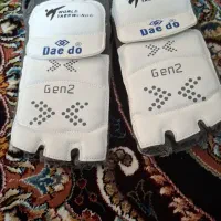 روپایی سنسوردار