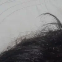 کلاه گیس