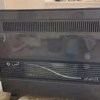 بخاری آدنیس بزرگ و سالم