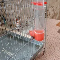 فروش سهره
