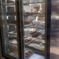 فروش یخجال دو در
