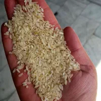برنج کامفیروزی|عمده‌فروشی|شیراز, قدوسی شرقی|دیوار