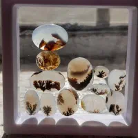 کلکسیون عتیقه سنگ شجر معاوضه با انگشتر شجر زبرجد|کلکسیون اشیاء عتیقه|زنجان, |دیوار