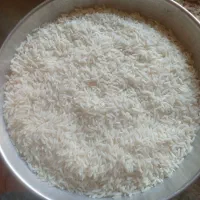 برنج طارم( پاکوتا) چرداول|خوردنی و آشامیدنی|ایلام, |دیوار