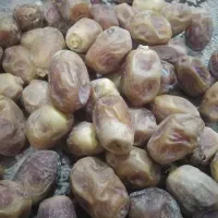 قصب درجه 1
