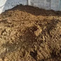 فروش پهن گاو