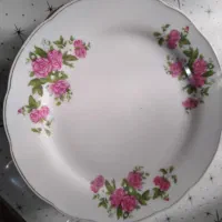 تعدادی ظروف مناسب،باغ