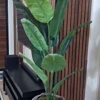 تولیدکننده درختچه مصنوعی وارداتی لمسی چرمی