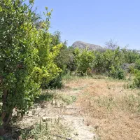 باغچه ویلا  موقعیت خوب