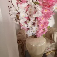 گلدان به همراه دو شاخه گل نو نو مناسب روز مادر