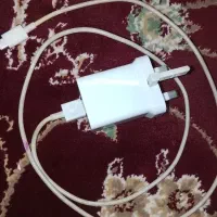 شارژراصل فقط 800|لوازم جانبی موبایل و تبلت|قرچک, امین آباد|دیوار