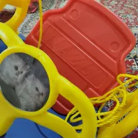 تاب|تخت و صندلی بچه|مشهد, طبرسی شمالی|دیوار