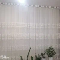 پرده