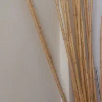 نی چوبی