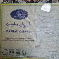 فرش دوازده متری|فرش|گرگان, |دیوار