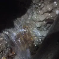 چاه کن مغنی راسور کنی فنی|خدمات پیشه و مهارت|نجفآباد, شریعتی غربی|دیوار