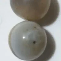 یک جفت مهره قدیمی|کلکسیون اشیاء عتیقه|بهبهان, |دیوار